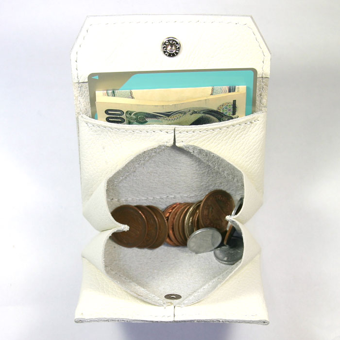 �v���U�[���z�R�C���P�[�X